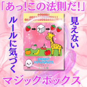 マジックボックス～プレ1：特許取得の小学校受験自宅学習専用教材 | 合格する子は解き方が違う！教え方が分かるお母さんのための問題集 | えしん会