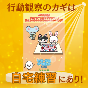 行動観察（自宅で練習できるキット付き！）「行動・常識」【特許取得の小学校受験問題集】| 合格する子は解き方が違う！教え方が分かるお母さんのための問題集 | えしん会